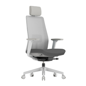 Bürostühle Ergonice
